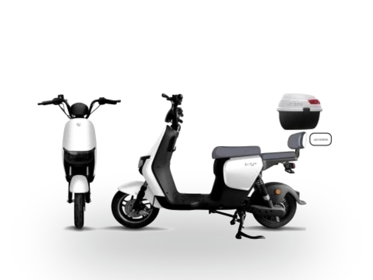 A16 Electric Moped/Scooter — 800W (Standard) / 1000W (Power)