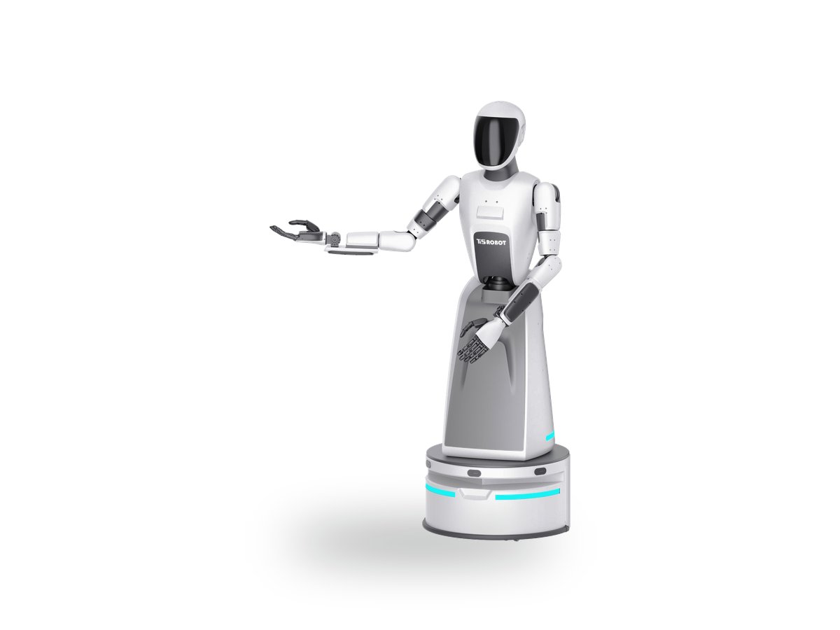 Wheeled Biped Humanoid — Taihu T170D