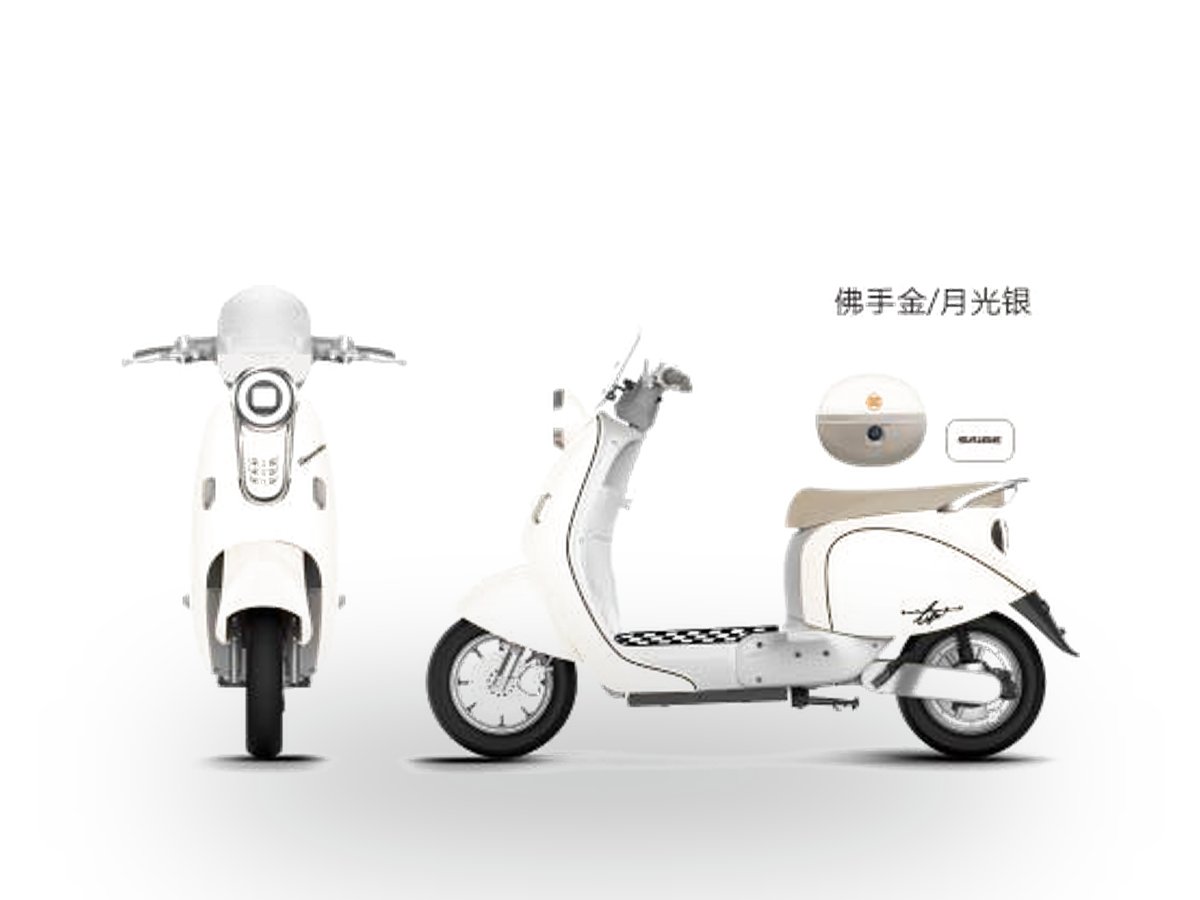 A3 Electric Moped/Scooter — 600W (Standard) / 800W (Power) / 1000W (Mountain)