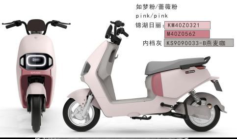 A2 Electric Moped/Scooter — 350W / 500W / 800W (three trims) — photo 1